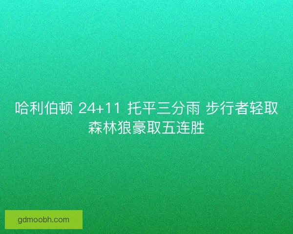 哈利伯顿 24+11 托平三分雨 步行者轻取森林狼豪取五连胜