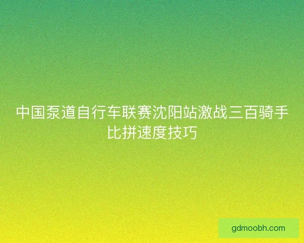 中国泵道自行车联赛沈阳站激战三百骑手比拼速度技巧