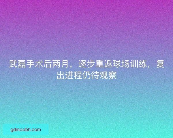 武磊手术后两月，逐步重返球场训练，复出进程仍待观察